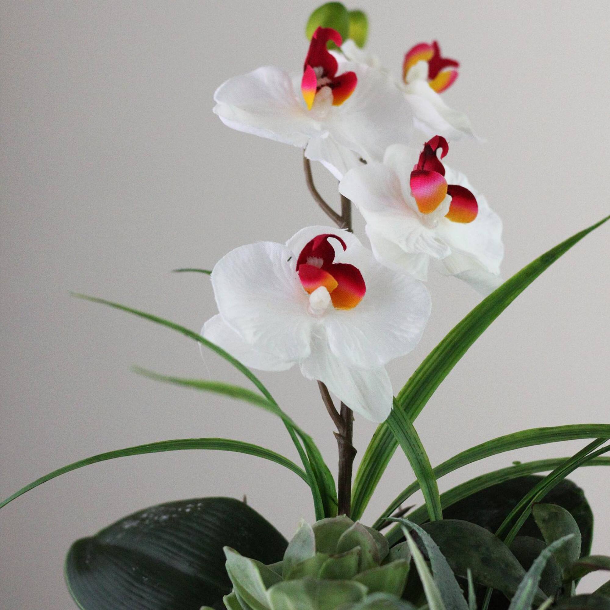 12" White Springtime Easter Orchid & Succulents Artificial Arrangement In Planter